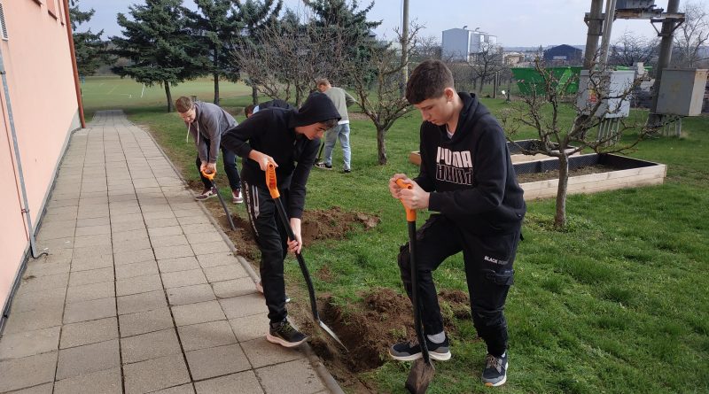 Probouzení jedlé zahrady