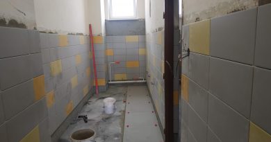 Rekonstrukce zdárně pokračuje