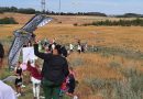 Drakiáda